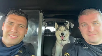 Springfield, MO, officers rescued a homicide victim's dog from a hot car this week. (Photo: Springfield PD)