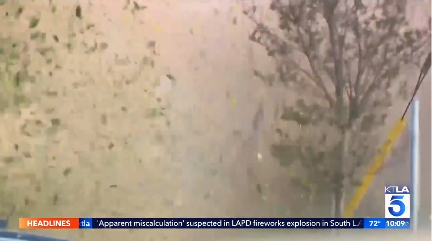 Lapd Explosion