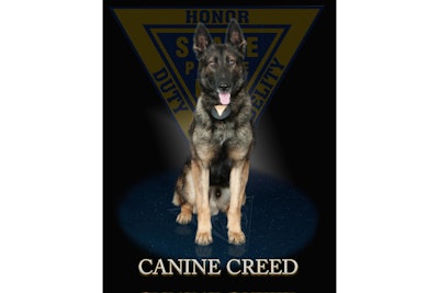 New Jersey State Police K-9 Creed was stabbed Monday. Creed is reportedly recovering. (Photo: New Jersey SP)