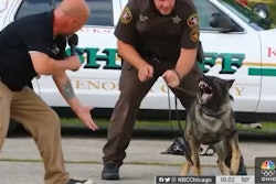 Kenosha County Sheriff's K-9 Riggs in training. (Photo: NBC5 Screen Shot)