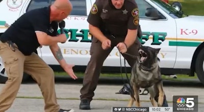 Kenosha County Sheriff's K-9 Riggs in training. (Photo: NBC5 Screen Shot)