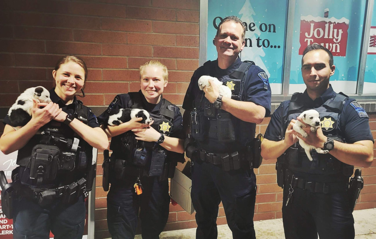 Tulsa269970951 277047717791527 5434767861916382986 N