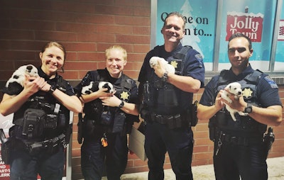 Tulsa269970951 277047717791527 5434767861916382986 N