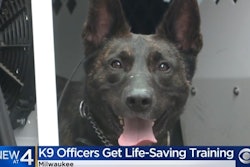 All of Milwaukee's police K-9 handler received training on how to treat their injured dogs this week. (Photo: CBS Milwaukee screen shot)