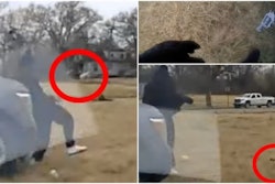 Unmarked Detroit police vehicle bumps suspect, knocking gun from his hand. (Photo: Detroit PD)