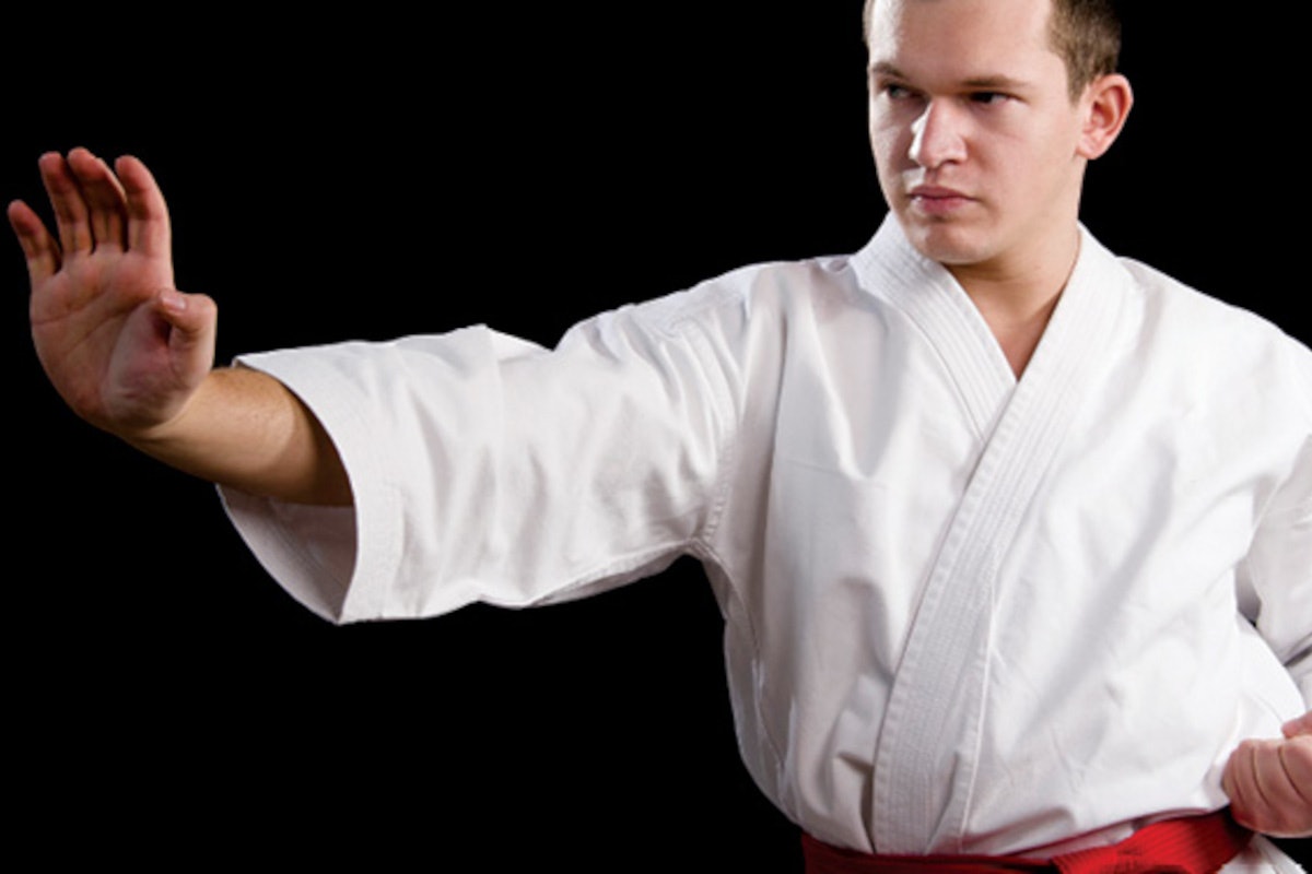 Martial Arts and Officer Safety