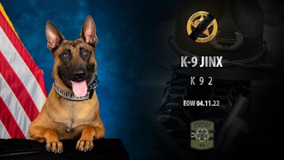 El Paso County (CO) Sheriff's K-9 Jinx was killed in a shooting Monday night. The suspect was also killed. (Photo: El Paso County SO/Facebook)