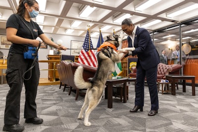 Connor, a two-year-old husky that was rescued from neglect by the NYPD and ASPCA, visited NYPD Commission Keechant Sewell Friday. (Photo: ASPCA)