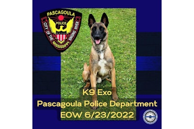 Pascagoula, MS, police K-9 was shot and killed last week. (Photo: Pascagoula PD/Facebook)