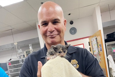 A Tampa police officer holds a kitten rescued by two officers Thursday during Hurricane Ian.