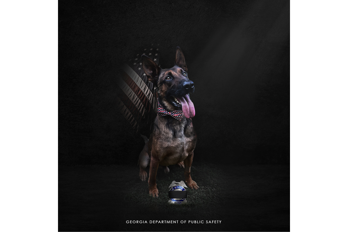 Georgia State Patrol K-9 Figo was killed Friday in a shooting involving a homicide suspect. (Photo: Georgia State Patrol/Facebook)