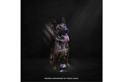 Georgia State Patrol K-9 Figo was killed Friday in a shooting involving a homicide suspect. (Photo: Georgia State Patrol/Facebook)