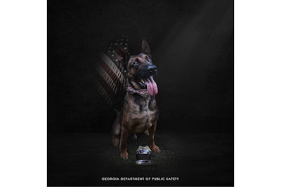 Georgia State Patrol K-9 Figo was killed Friday in a shooting involving a homicide suspect. (Photo: Georgia State Patrol/Facebook)