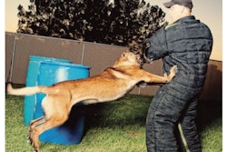 If California's AB 742 becomes law, police K-9s in the state would no longer be used to make arrests. (Photo: POLICE File/Mark Clark)