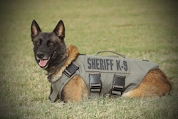 Bexar County (TX) Sheriff's Office K-9 Chucky was shot and killed in the line of duty in 2019.