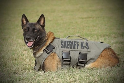 Bexar County (TX) Sheriff's Office K-9 Chucky was shot and killed in the line of duty in 2019.