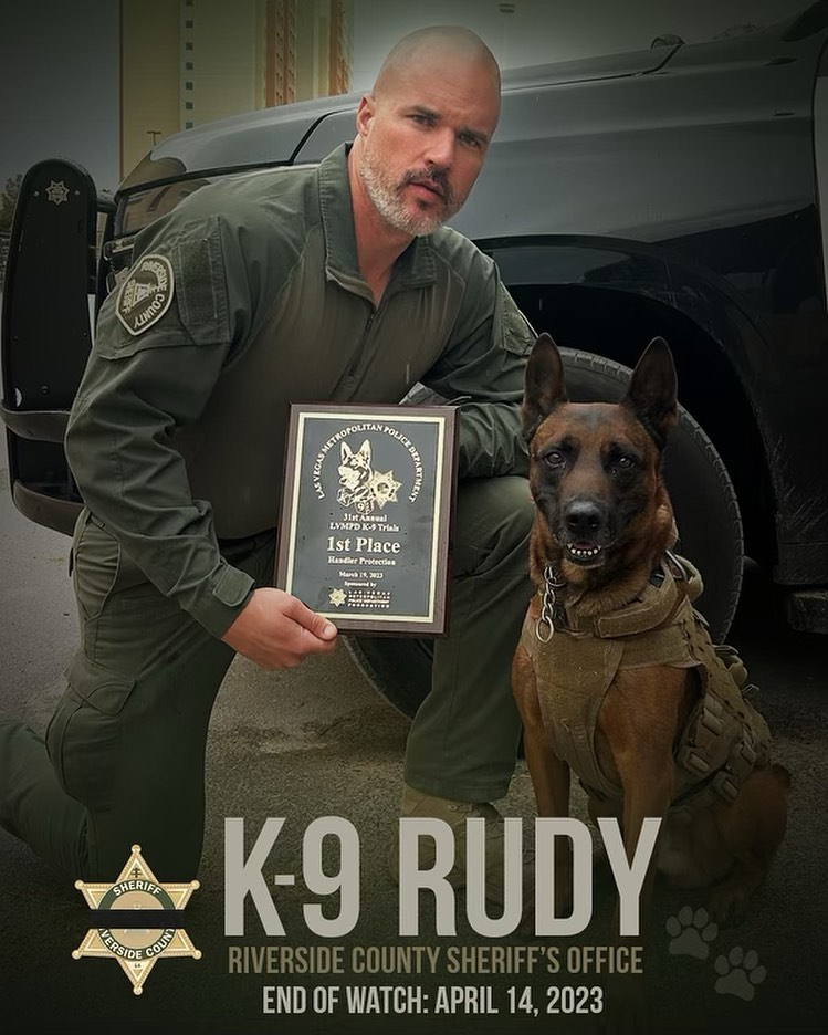 Riverside County Sheriff's K-9 Rudy was shot and killed while helping locate a wanted felon Friday.