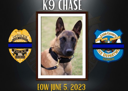 Cobb County, GA, Police K-9 Chase died Monday after overheating in a police vehicle. The air conditioning apparently failed.