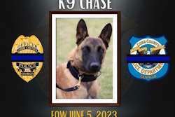 Cobb County, GA, Police K-9 Chase died Monday after overheating in a police vehicle. The air conditioning apparently failed.