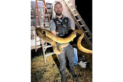 Barron County Sheriff's deputy holds 14-foot 'giant' snake removed from residential roof.