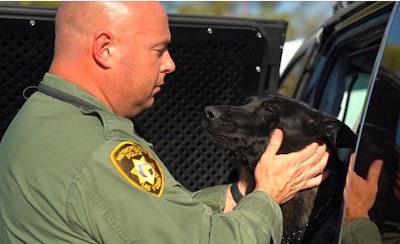 K-9 Kimura with one of his handlers.