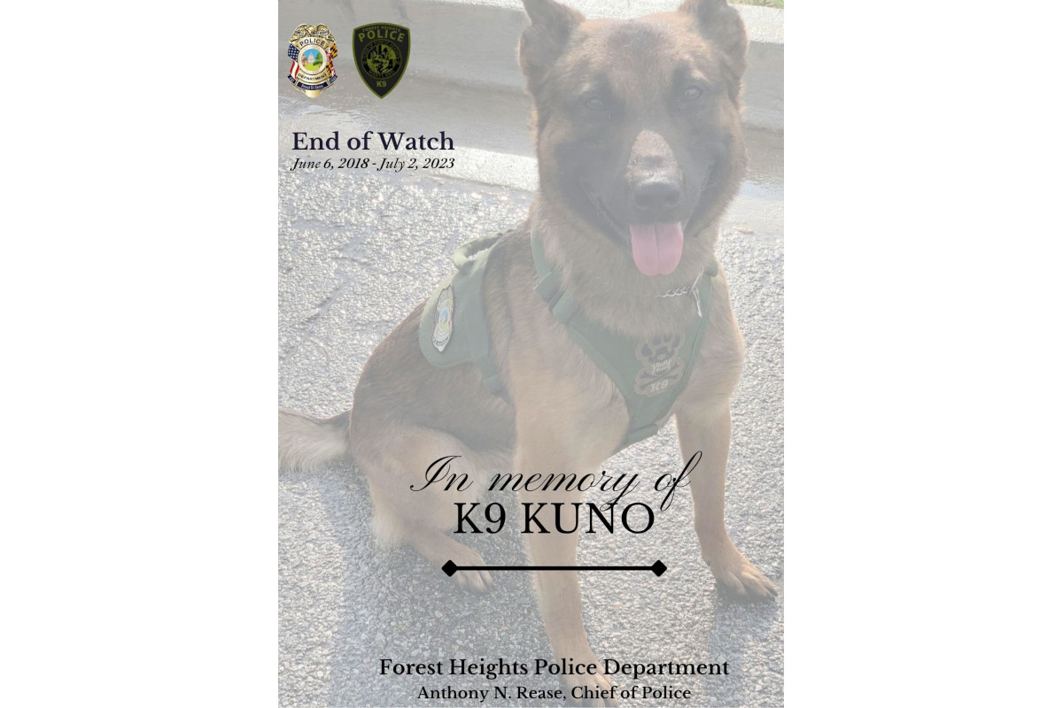 Maryland K-9 Dies After Medical Emergency During Search | Police Magazine