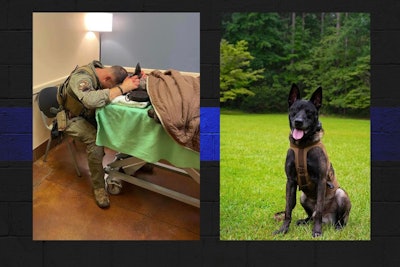 South Carolina Law Enforcement Division (SLED) K9 Rico was killed by an attempted murder suspect who had been the subject of an extended manhunt. The gunman was then killed in a shootout with state officers and deputies.