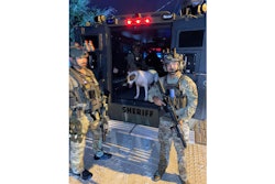 Martin County Sheriff's Office SWAT deputies hanging out with Bear. The dog fled a house full of suspects and jumped into the team's BearCat while the deputies served a search warrant.