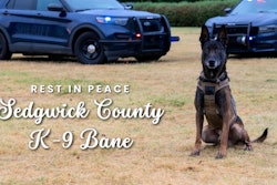 Sedgwick County (Kansas) Sheriff's K-9 Bane was killed in a struggle with a suspect. A necropsy is planned to determine how the dog was killed. Sheriff Jeff Easter believes he was strangled.