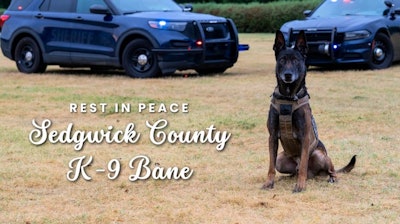 Sedgwick County (Kansas) Sheriff's K-9 Bane was killed in a struggle with a suspect. A necropsy is planned to determine how the dog was killed. Sheriff Jeff Easter believes he was strangled.