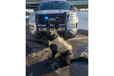 Connecticut State Police said K-9 Broko was killed protecting his handler and fellow troopers Thursday night.
