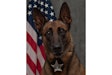 Rockford, Illinois, police K-9 Nyx was killed Sunday when he was shot during a domestic call.