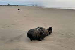 A World War II practice bomb washed up on the beach in Santa Cruz County, California, on New Year's Eve.