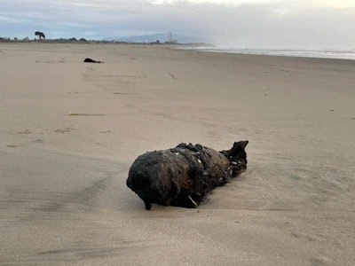A World War II practice bomb washed up on the beach in Santa Cruz County, California, on New Year's Eve.