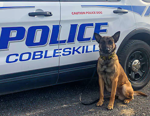 Brady's K-9 Fund makes sure police K-9s, such as Wilson, from Cobleskill Police Department in New York, are equipped with protective vests.