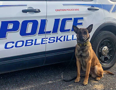 Brady's K-9 Fund makes sure police K-9s, such as Wilson, from Cobleskill Police Department in New York, are equipped with protective vests.