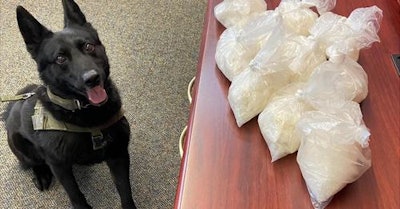 Agency reports the police dog sniffed out 10 pounds of meth hidden in dog treat boxes inside the vehicle.