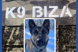 An Auburn Police Department K9 tracked a missing Massachusetts child in freezing weather for more than two miles.