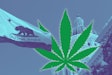 A California law enacted earlier this year specifies officers cannot be punished if they use marijuana while off duty.