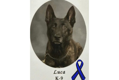 DeSoto County, Mississippi, Sheriff's K-9 Luca was shot and killed trying to apprehend a suspect Wednesday.