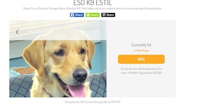 Estie, an electronics sniffing dog, is currently in the running for America’s Favorite Pet.
