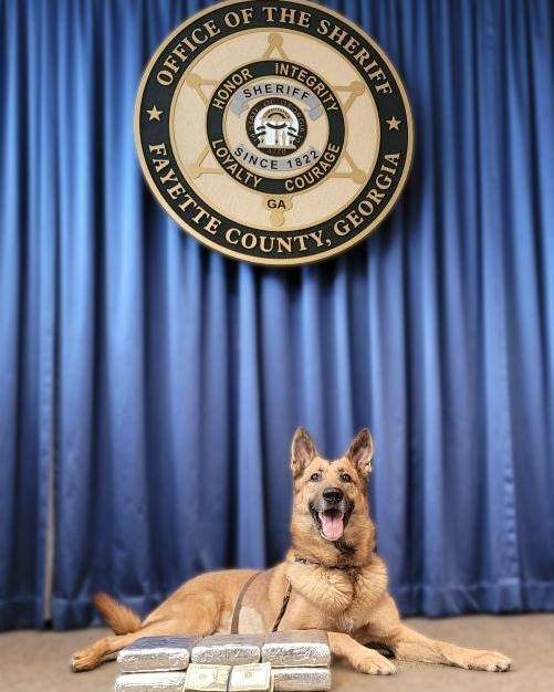 Jäger discovered over $700,000 in cocaine at a recent traffic stop.