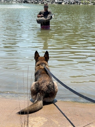 Handlers must be willing to act as a good decoy, which can make or break a dog.