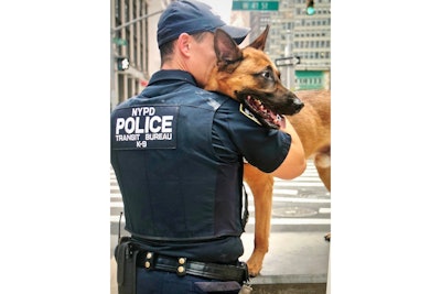 Many of the photos in 'The Dogs That Serve” exhibit focus on the bond between the K-9s and their human handlers.