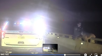 A K-9 handler's quick actions rescued the police dog after it jumped without warning from a high-rise bridge over the Indian River.