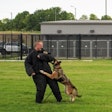 A willingness to wear a bite suit to help dogs train is a prerequisite for good handlers.