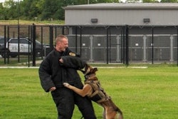 A willingness to wear a bite suit to help dogs train is a prerequisite for good handlers.