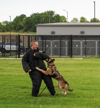 A willingness to wear a bite suit to help dogs train is a prerequisite for good handlers.