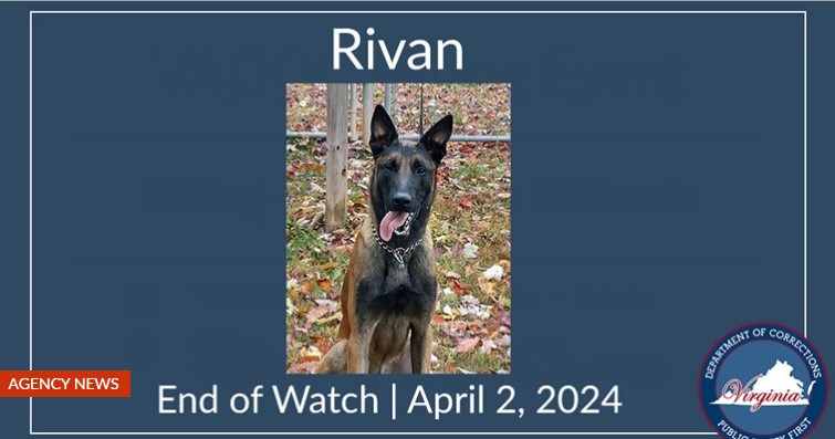 Virginia Department of Corrections K-9 Rivan was killed Tuesday while protecting his handler from an attack by MS-13 gang members.