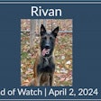 Virginia Department of Corrections K-9 Rivan was killed Tuesday while protecting his handler from an attack by MS-13 gang members.